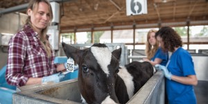 Account Modification Form